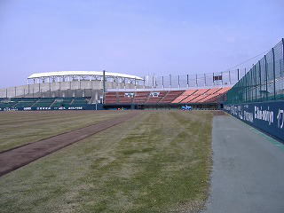 外野から内野方向を撮影.jpg